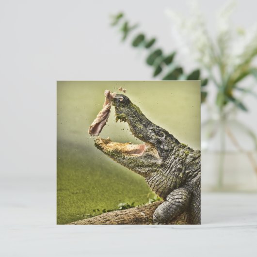 ニワトリ捕らえる昼食野生生物写真 招待状 (スタンド正面)