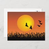 ニワトリ飛んでいるアヒルの太陽の風景 ポストカード (正面/裏面)