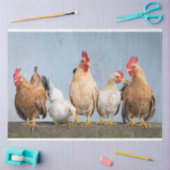 ニワトリ養鶏場2デコペティッシュペーパー 薄葉紙 (クラフト)