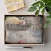 ニワトリ鶏ファームデコペティッシュペーパー 薄葉紙 (ギフト)