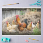 ニワトリ鶏ファームデコペティッシュペーパー 薄葉紙 (クラフト)