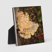 ニワトリ・オブ・ザ・ウッズ フォトプラーク (正面)