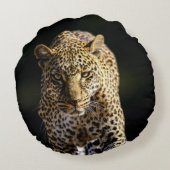 ニワトリ ラウンドクッション (裏面)