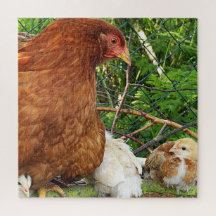 ニワトリ, 動物, ヒヨコ, 鳥, 農場, かわいい, パズル,