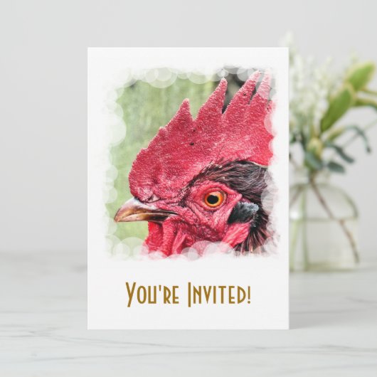 ニワトリ 招待状 (スタンド正面)