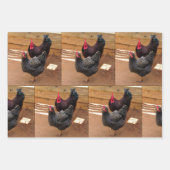 ニワトリ – 農業生活 – 包装紙シート ラッピングペーパーシート (正面)