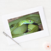 ニワトリ 長方形シール (封筒)