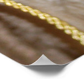 ニングラクダ ポスター (角)