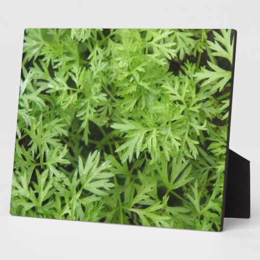 ニンジンがプラークを飾る フォトプラーク (側面)