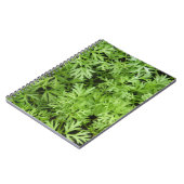 ニンジンのトップス ノートブック (左側)