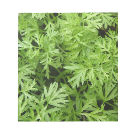 ニンジンのトップメモ帳 ノートパッド (正面)