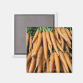 ニンジンの束、フルフレーム マグネット (正面/裏面)
