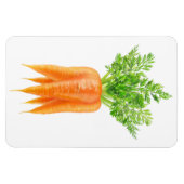 ニンジンの束 マグネット (横)