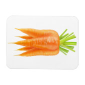 ニンジンの束 マグネット (横)