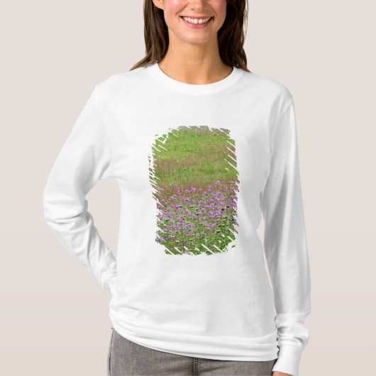 ニンジンの花が咲く Tシャツ (正面)