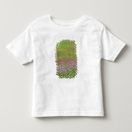 ニンジンの花 トドラーTシャツ (正面)
