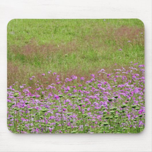 ニンジンの花 マウスパッド (正面)