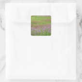 ニンジンの花（Daucus carota） スクエアシール (バッグ)