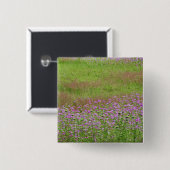 ニンジンの花 (Daucus carota) 缶バッジ (正面&裏面)
