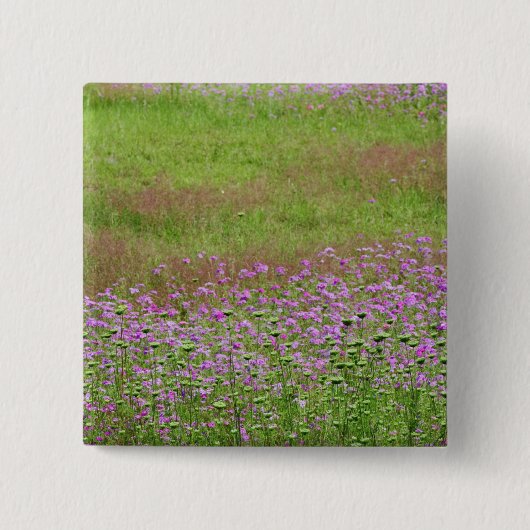 ニンジンの花 (Daucus carota) 缶バッジ (正面)