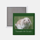 ニンジンを覚えろ！バニー マグネット (正面/裏面)