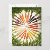 ニンジンカラーホイール ポストカード (正面/裏面)