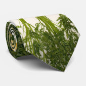ニンジン中心タイ ネクタイ (ロール)