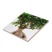 ニンジン タイル (側面)