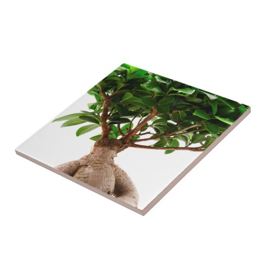 ニンジン タイル (側面)