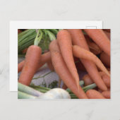 ニンジン ポストカード (正面/裏面)