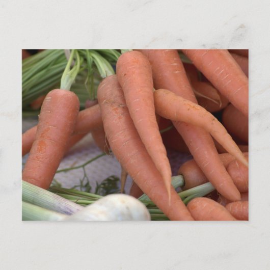 ニンジン ポストカード (正面)