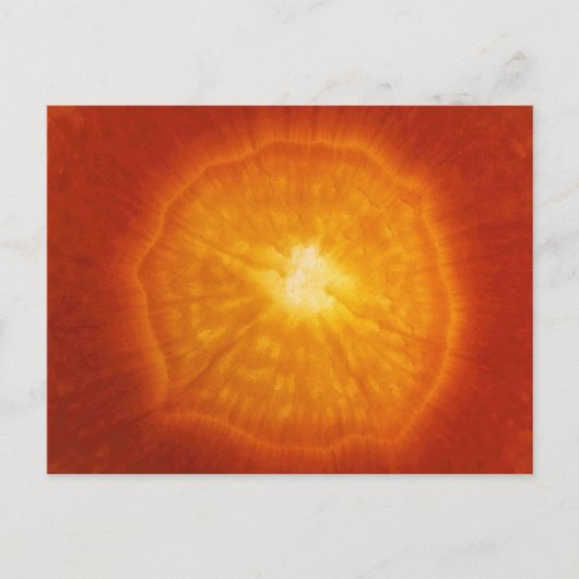 ニンジン ポストカード (正面)