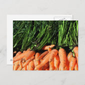 ニンジン ポストカード (正面/裏面)