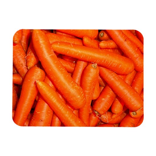 ニンジン マグネット (横)