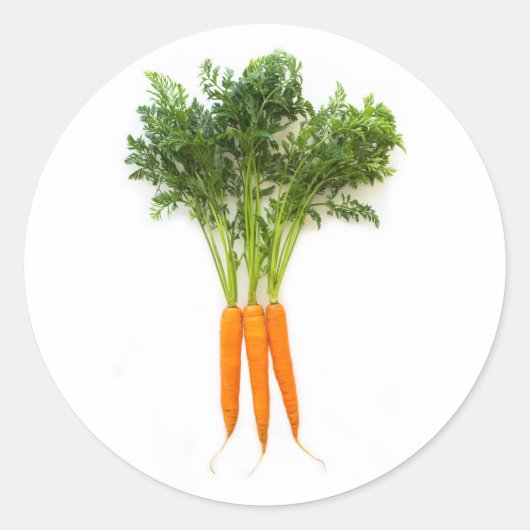 ニンジン ラウンドシール (正面)