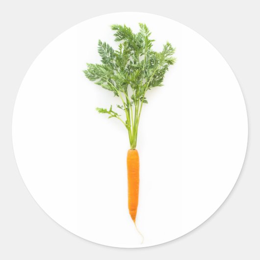 ニンジン ラウンドシール (正面)