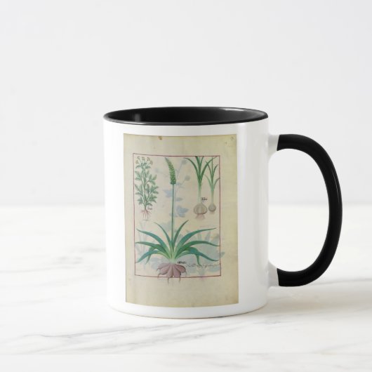 ニンニクおよび他の植物 マグカップ (右)