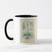 ニンニクおよび他の植物 マグカップ (左)