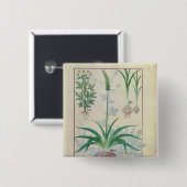 ニンニクおよび他の植物 缶バッジ (正面&裏面)