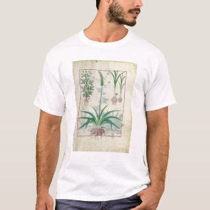 ニンニクおよび他の植物 Tシャツ