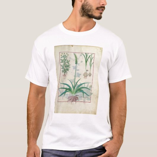ニンニクおよび他の植物 Tシャツ (正面)