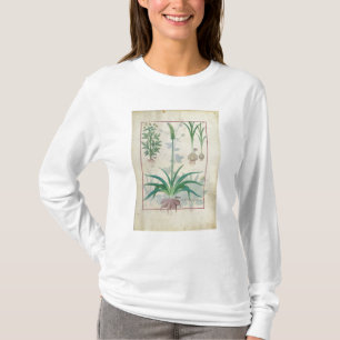 ニンニクおよび他の植物 Tシャツ
