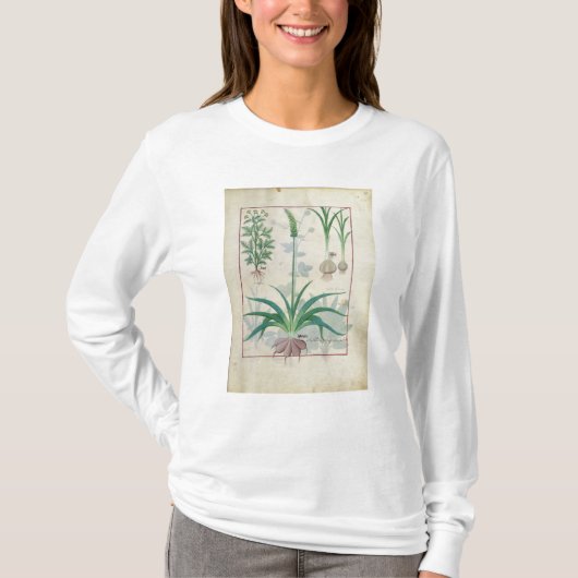ニンニクおよび他の植物 Tシャツ (正面)