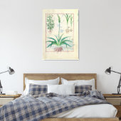 ニンニクその他の植物 キャンバスプリント (インサイチュ (寝室))