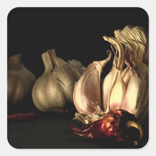 ニンニクと唐辛子スパイス スクエアシール (正面)