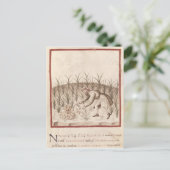 ニンニクの収穫 ポストカード (スタンド正面)