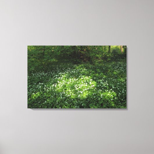 ニンニクの斑点 キャンバスプリント (正面)