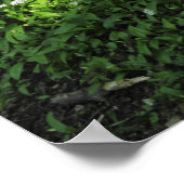 ニンニクの斑点 ポスター (角)