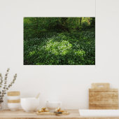 ニンニクの斑点 ポスター (キッチン)