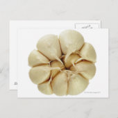 ニンニクは白い背景に隔離され、DFFの画像、 ポストカード (正面/裏面)